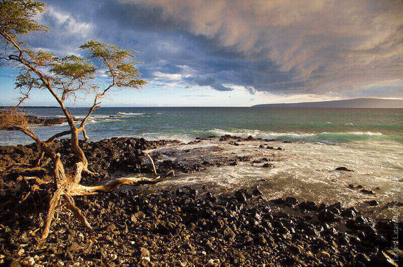 maui-august-2011-15