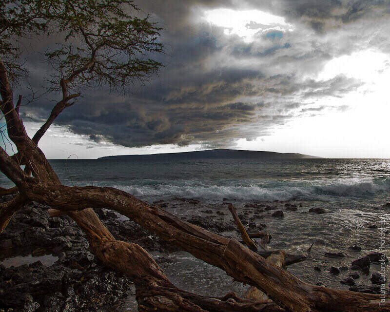 maui-august-2011-18