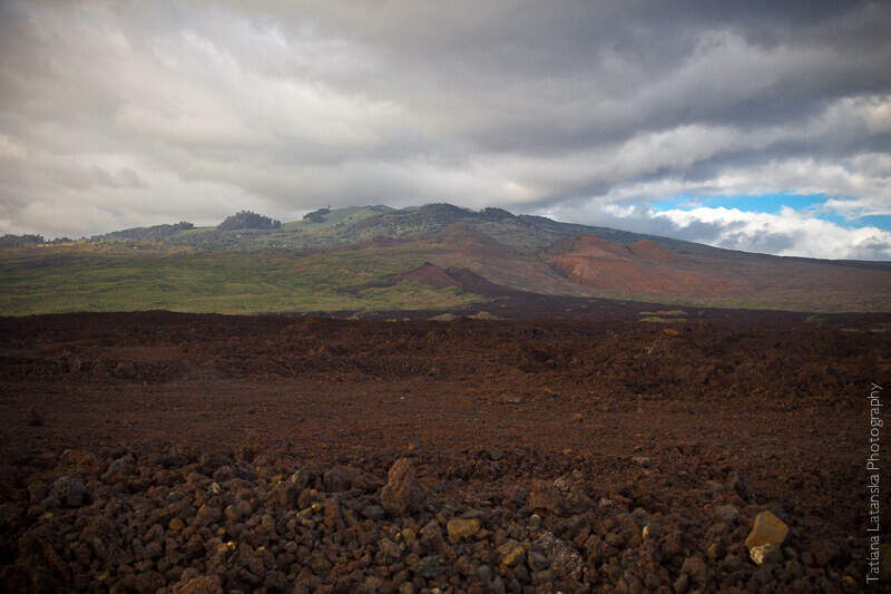 maui-august-2011-19
