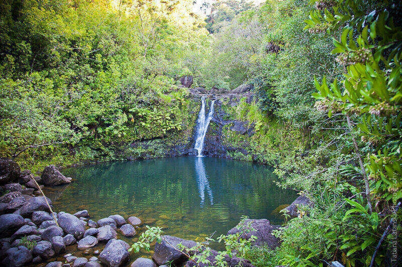 maui-august-2011-2