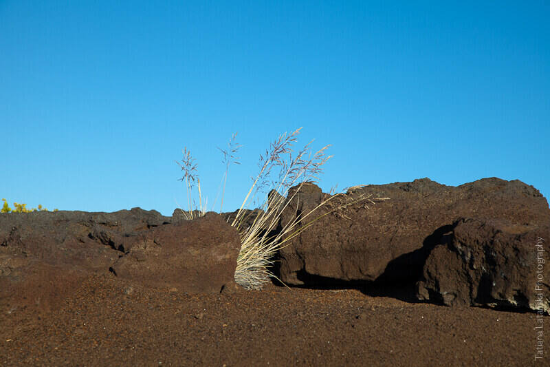 maui-august-2011-27
