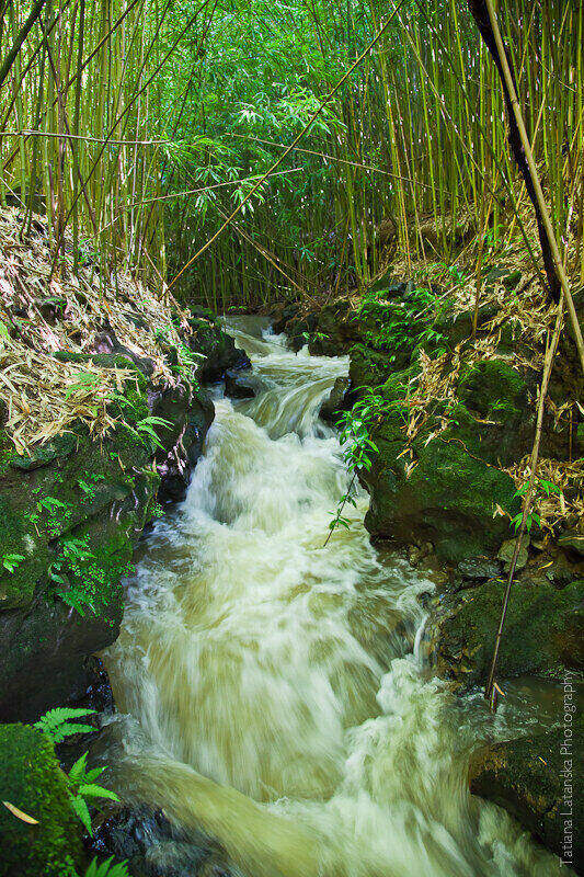 maui-august-2011-3