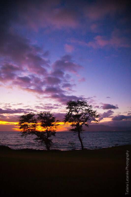 maui-august-2011-30