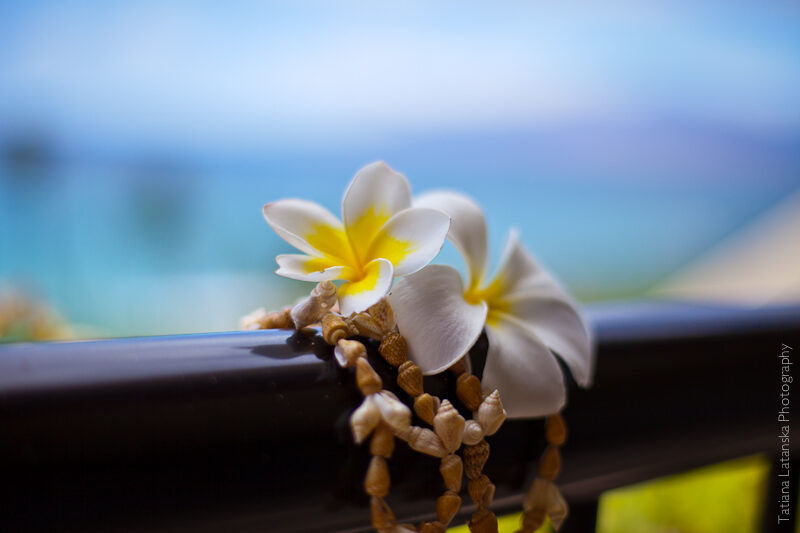 maui-august-2011-43