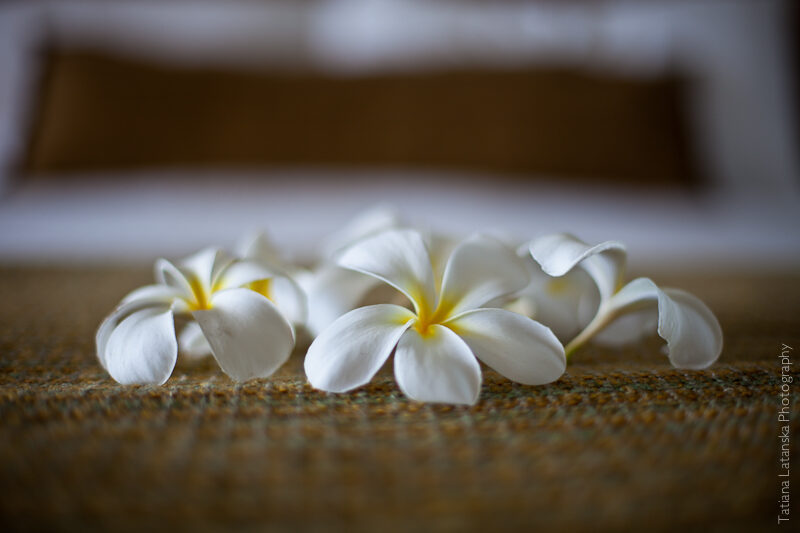 maui-august-2011-45