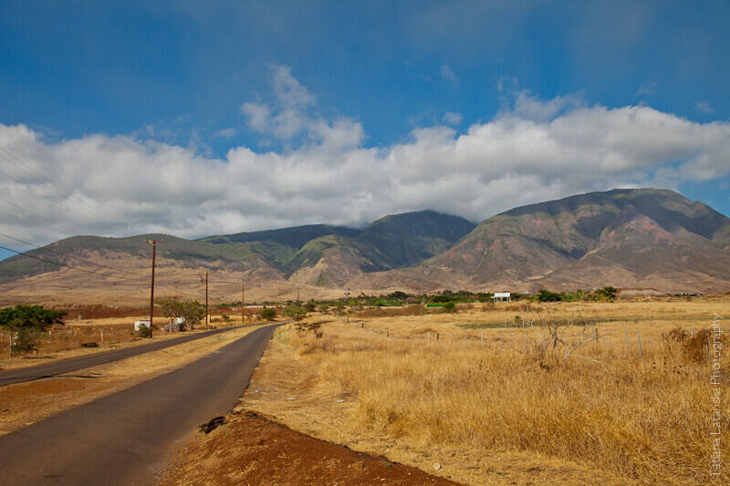 maui-august-2011-47
