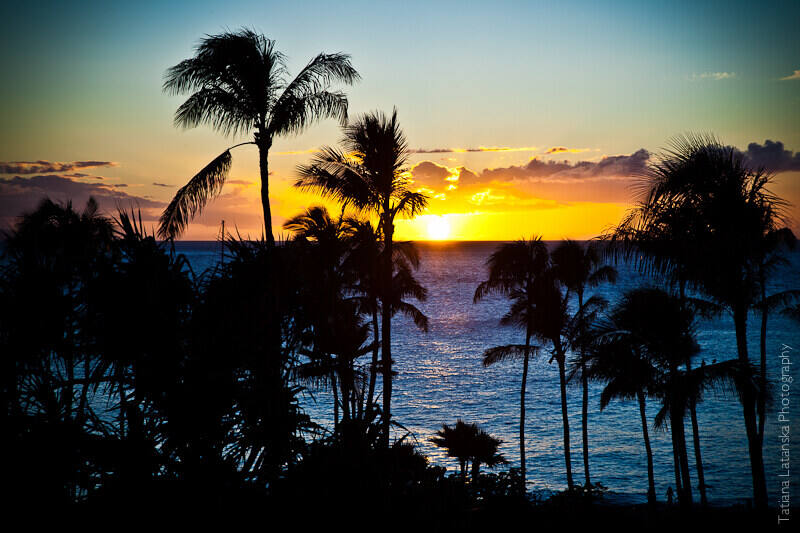 maui-august-2011-48