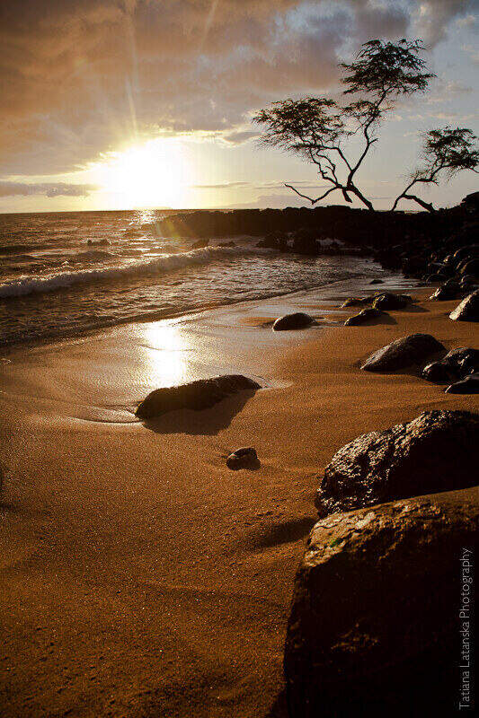 maui-august-2011-8