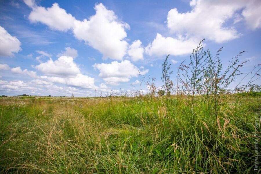Severinovka-summer - 37