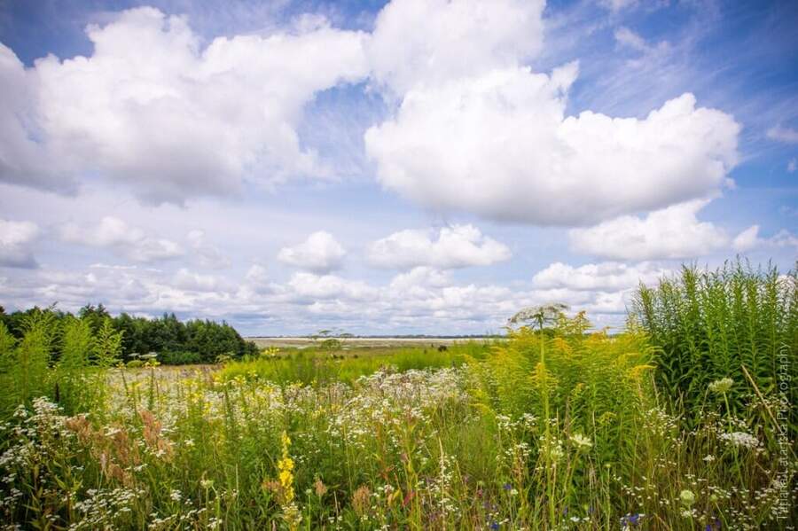 Severinovka-summer - 38