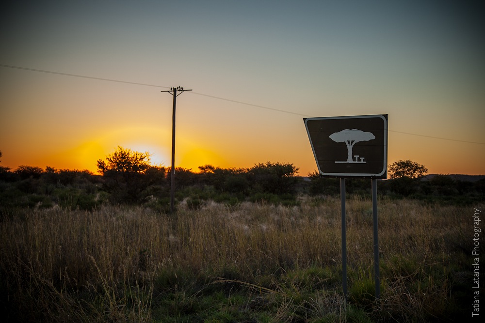 Намибия. Фото Татьяны Латанской.